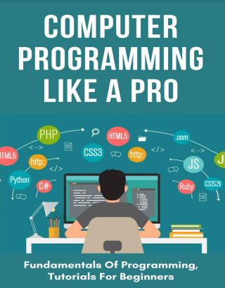 Book cover: Computer programming like a pro : fundamentals of programming, tutorials for beginners.