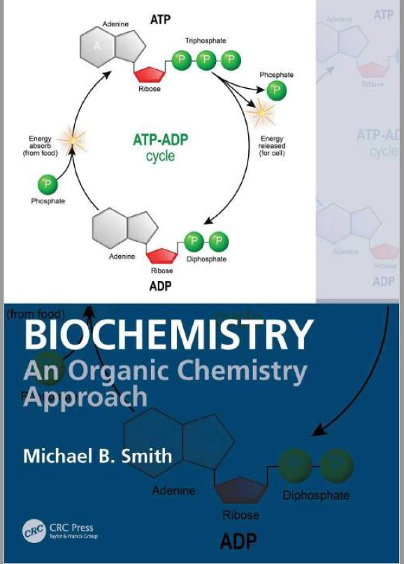 Book cover: Biochemistry : an organic chemistry approach