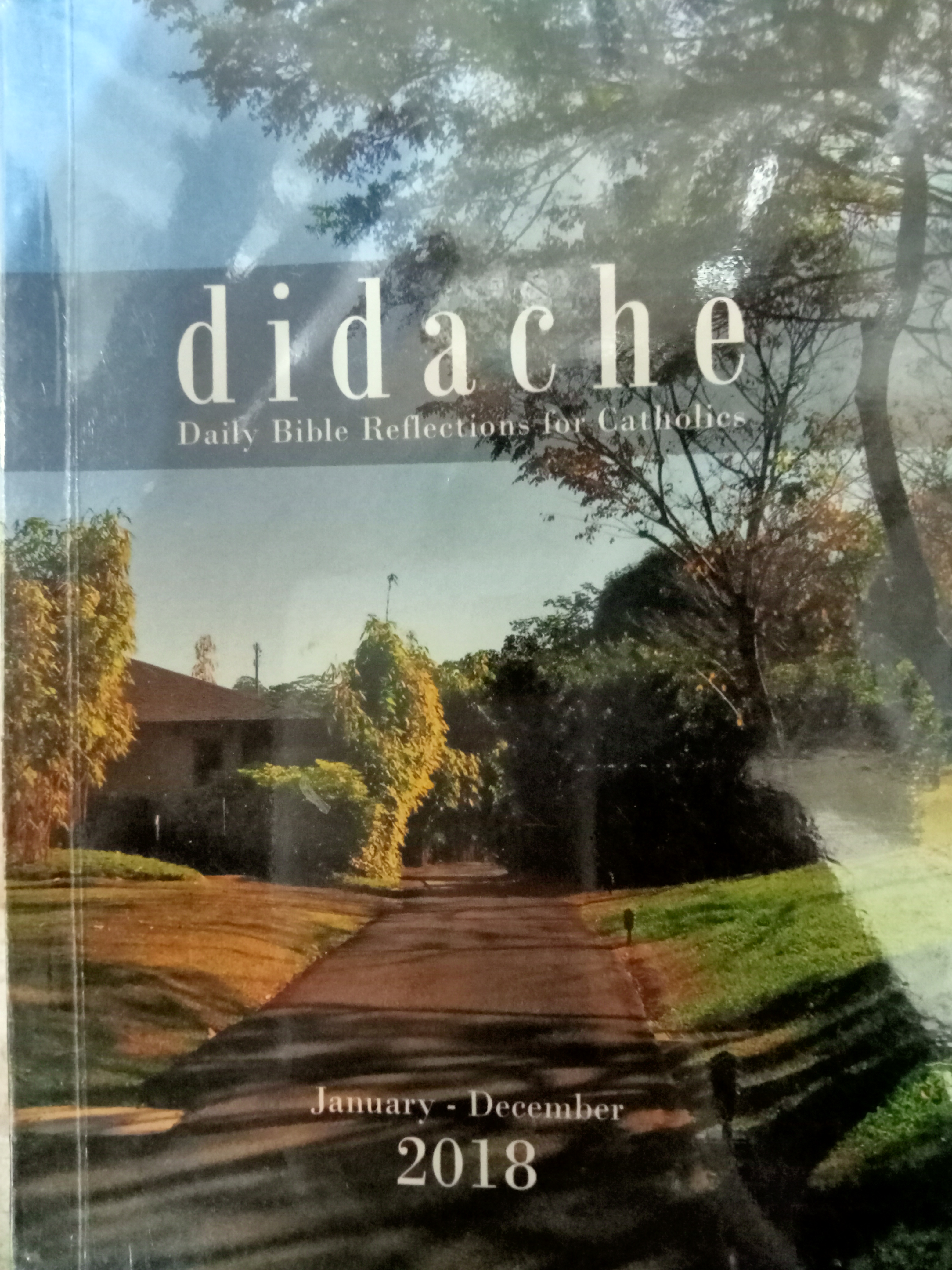 Book cover: Didache : daily bible reflections for Catholics