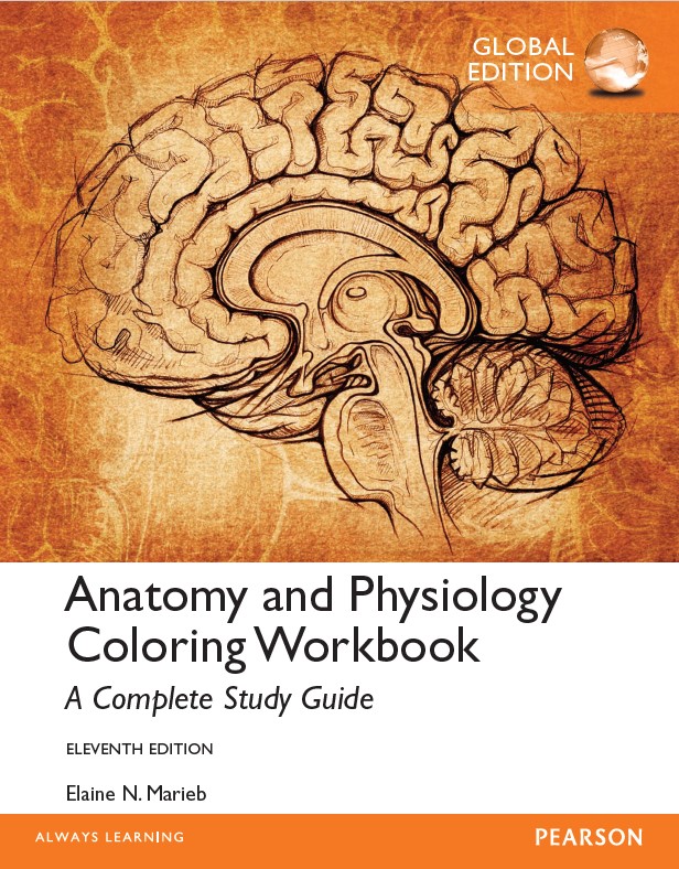 Book cover: Anatomy & physiology coloring workbook : a complete study guide