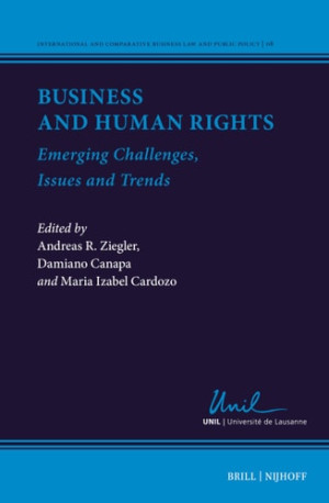 Book cover: Business and human rights : emerging challenges, issues, and trends
