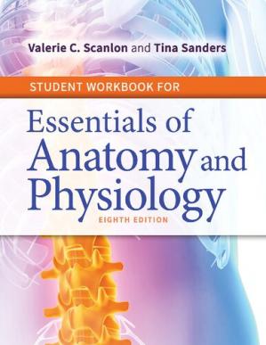 Book cover: Student workbook for essentials of anatomy and physiology