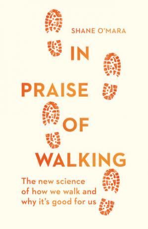 Book cover: In praise of walking : the new science of how we walk and why it’s good for us