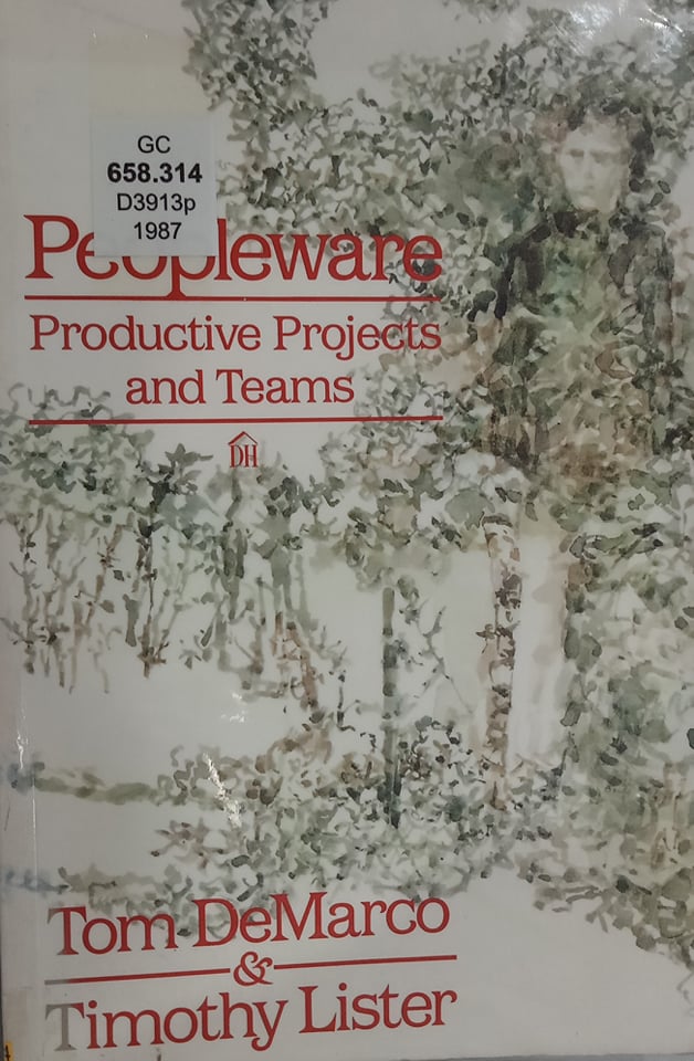 Book cover: Peopleware: productive projects and teams