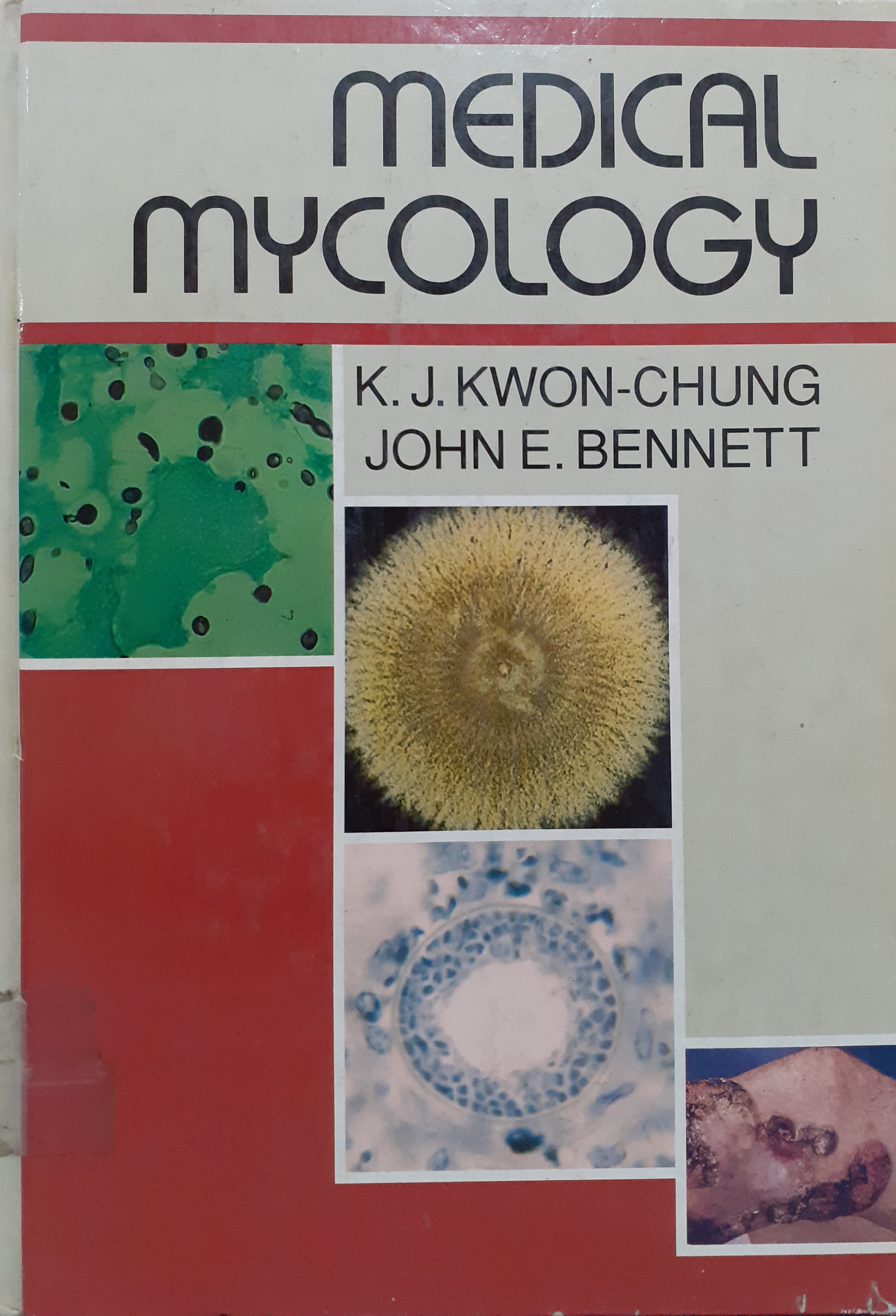Book cover: Medical mycology