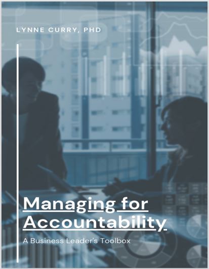 Book cover: Managing for accountability: a business leaders toolbox.