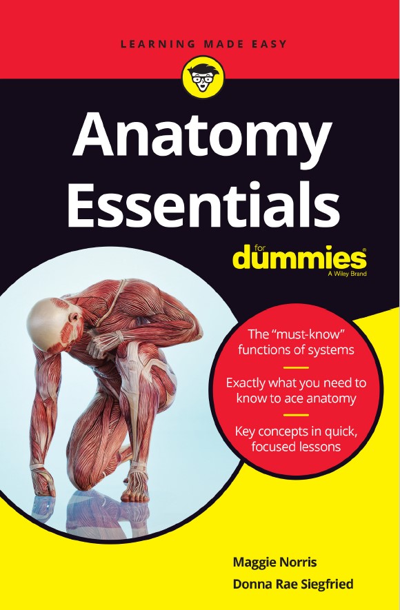 Book cover: Anatomy essentials
