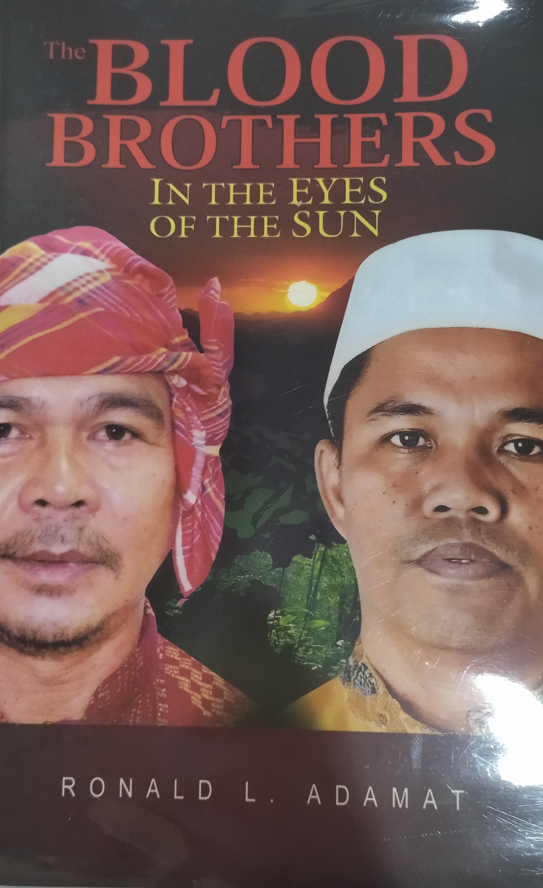 Book cover: The Blood brothers in the eyes of the sun