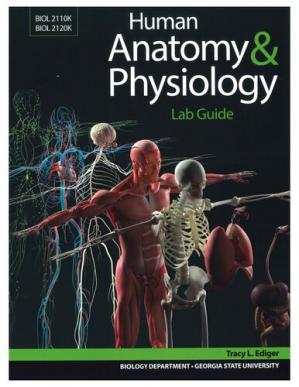 Book cover: Human anatomy physiology : lab guide