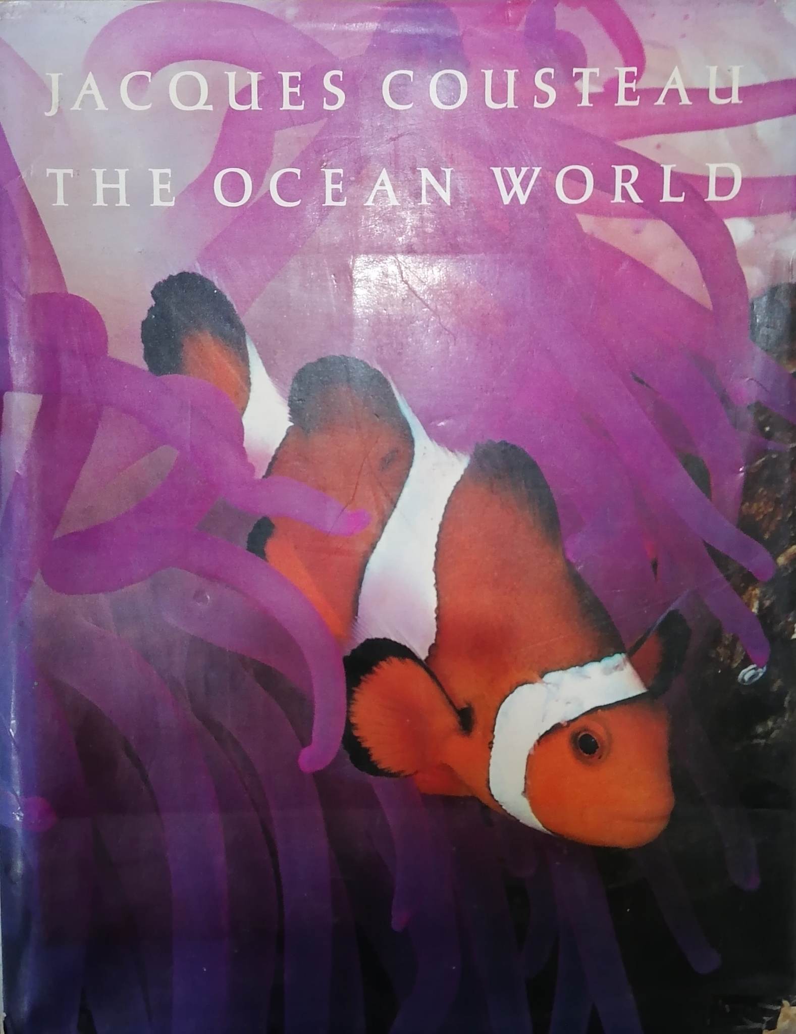 Book cover: The Ocean world