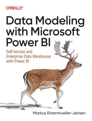 Book cover: Data modeling with microsoft power bi : self-service and enterprise data warehouses with power bi