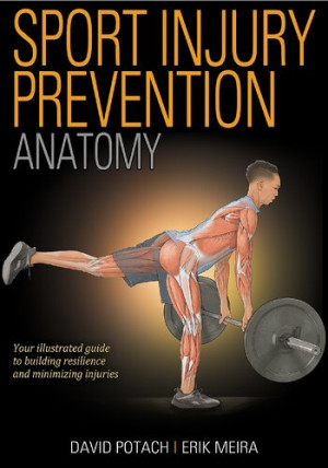 Book cover: Sport injury prevention : anatomy