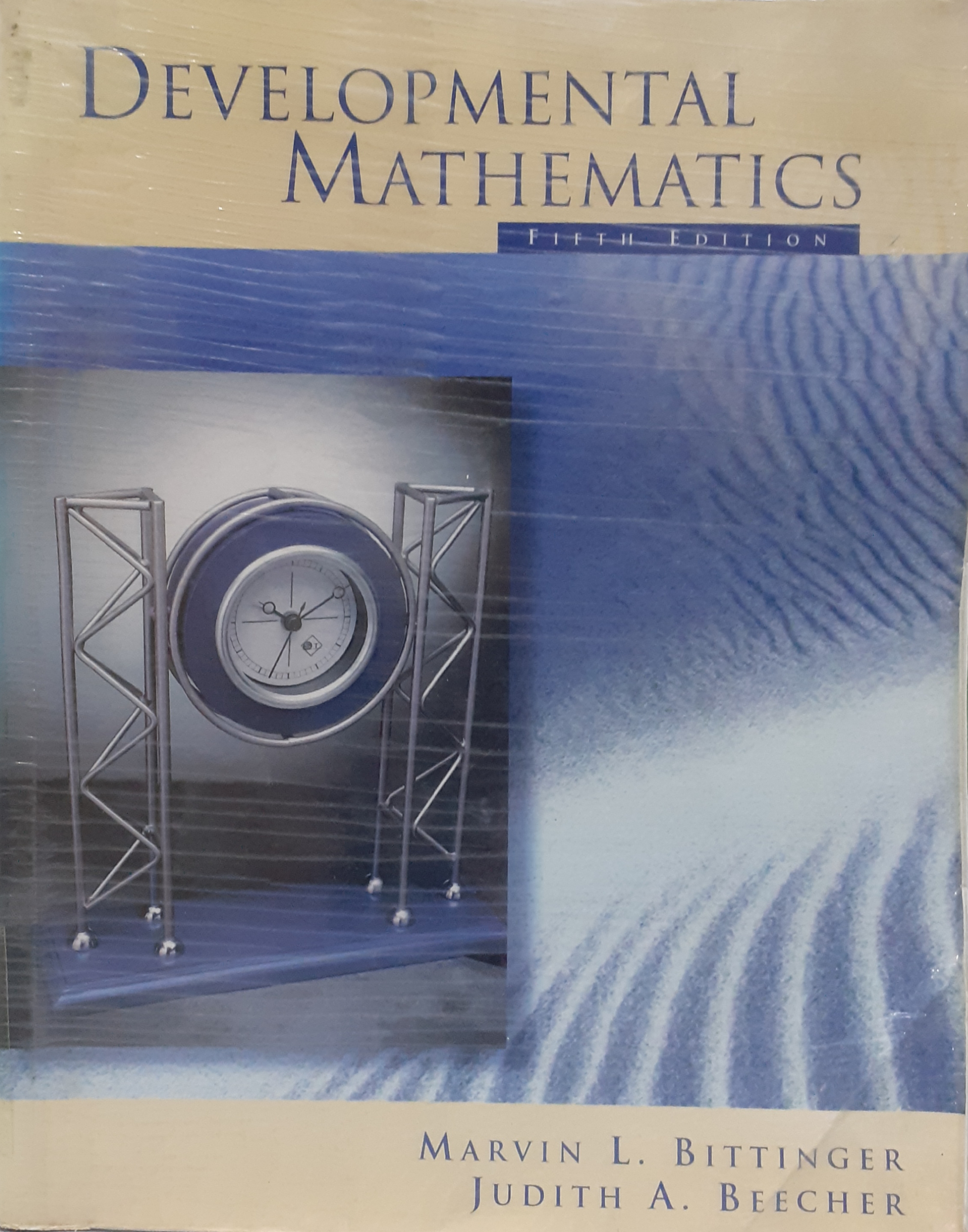 Book cover: Developmental mathematics