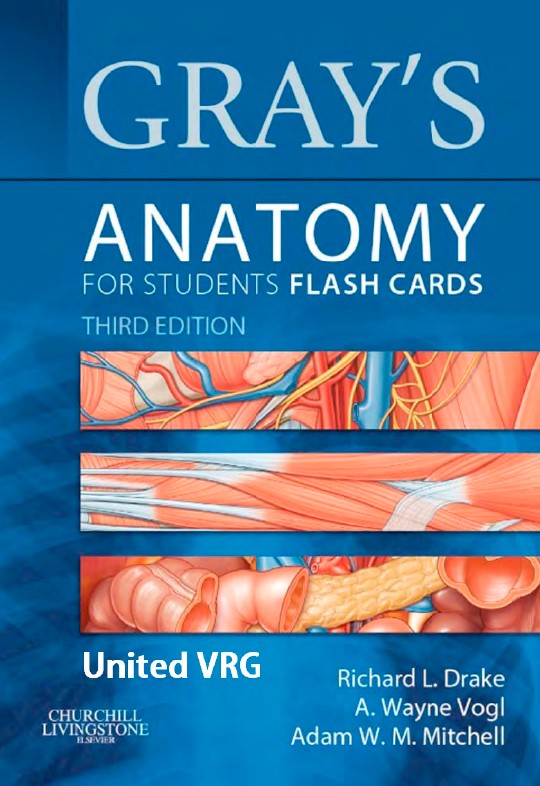 Book cover: Gray's anatomy for students flash cards