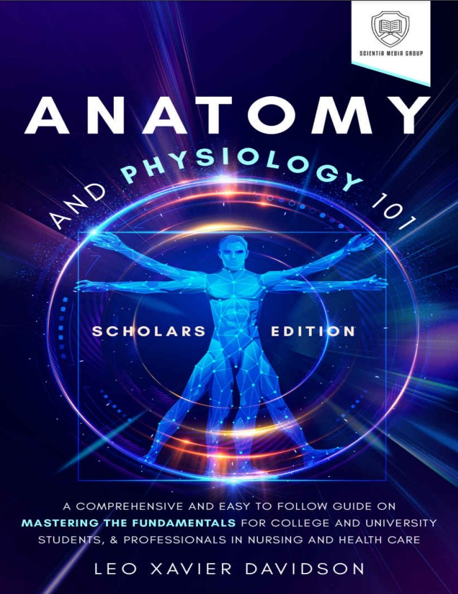 Book cover: Anatomy & physiology 101 : a comprehensive and easy to follow guide on mastering the fundamentals for college and university students, & professionals in nursing and health care