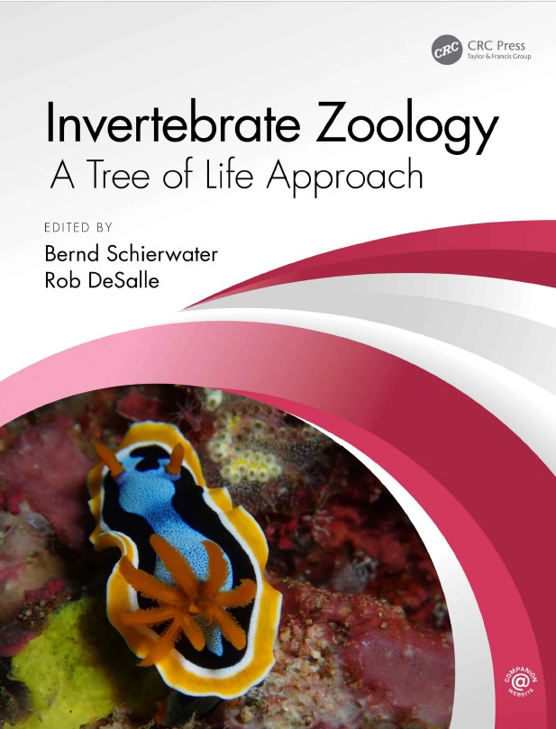 Book cover: Invertebrate zoology : a tree of life  approach