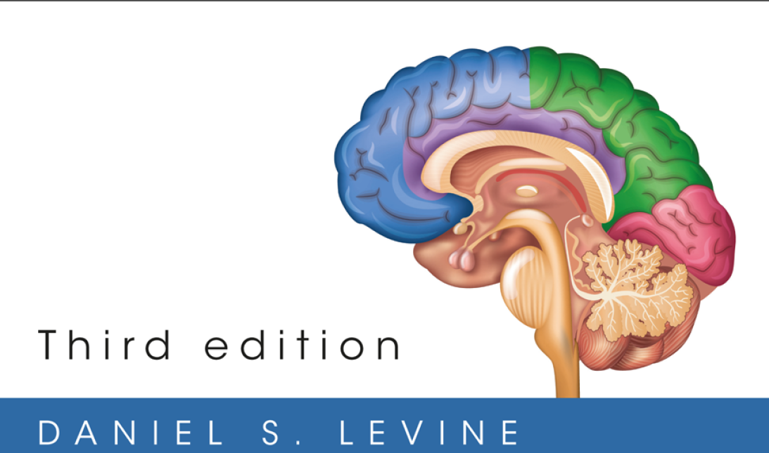 Book cover: Introduction to neural and cognitive modeling