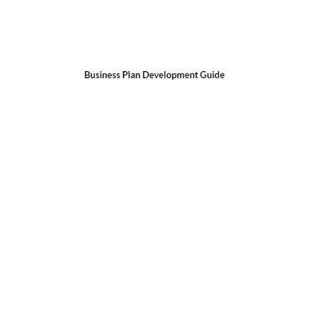 Book cover: Business plan development guide