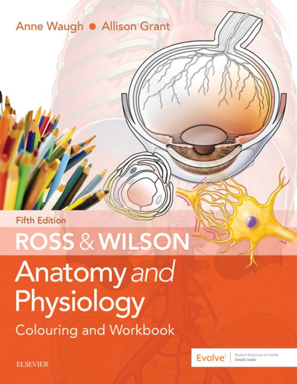 Book cover: Ross & wilson anatomy & physiology : colouring and workbook