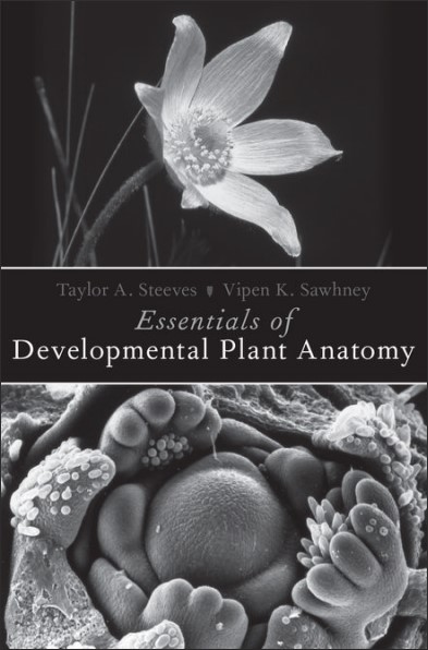 Book cover: Essentials of developmental plant anatomy.