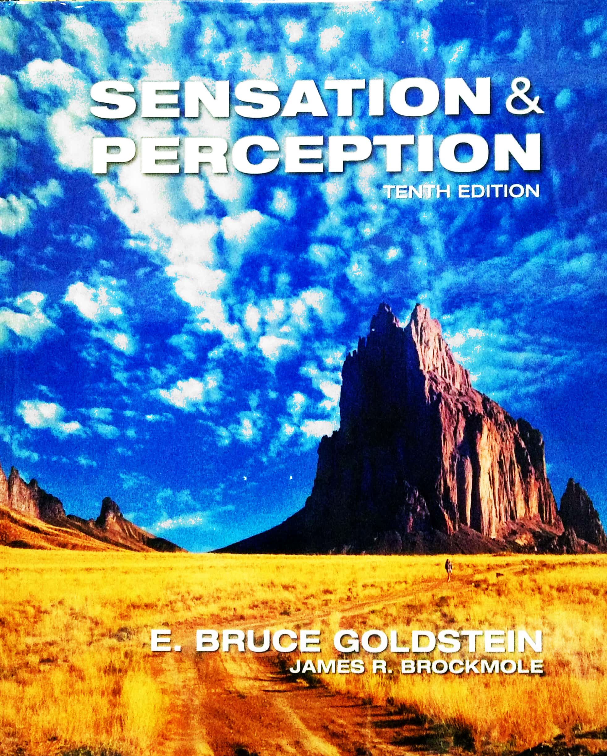 Book cover: Sensation and Perception