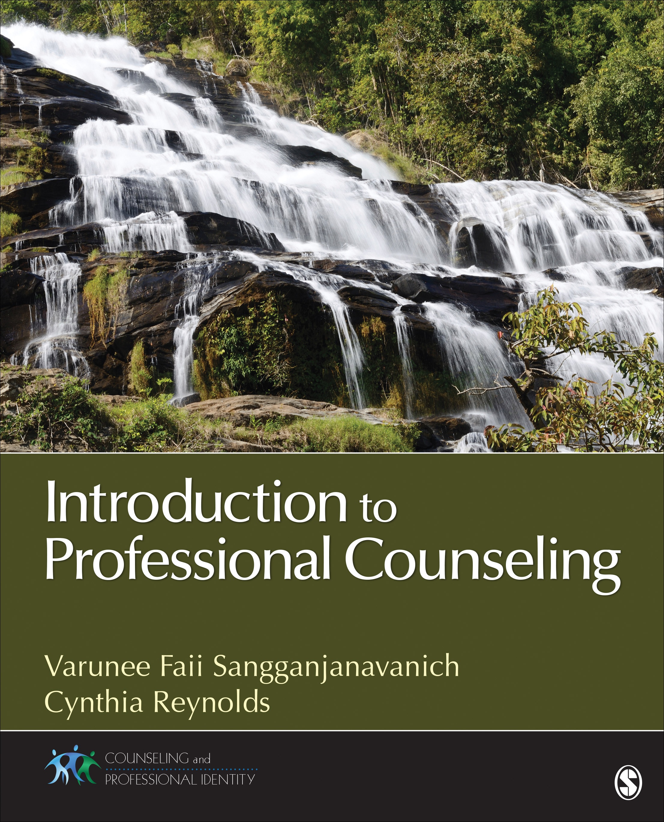 Book cover: Introduction to professional counseling