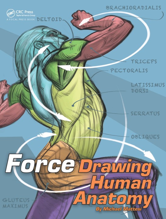 Book cover: Force : drawing human anatomy