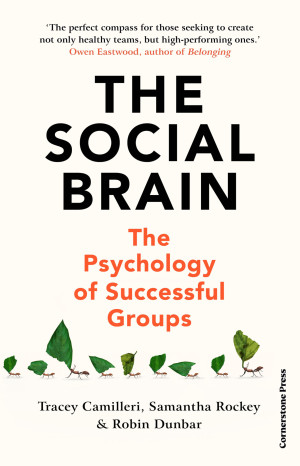 Book cover: The Social brain : the psychology of successful groups