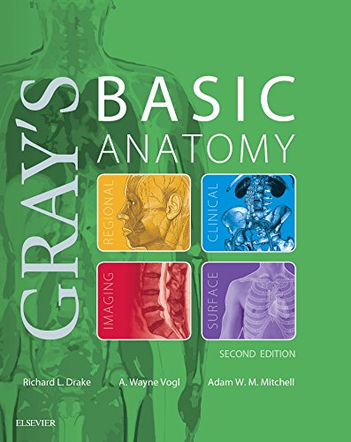 Book cover: Gray's basic anatomy