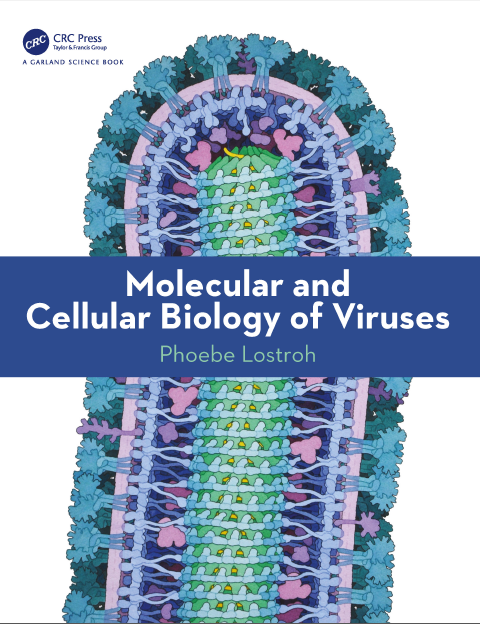 Book cover: Molecular and cellular biology of viruses.