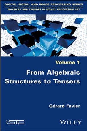 Book cover: From algebraic structures to tensors: volume 1