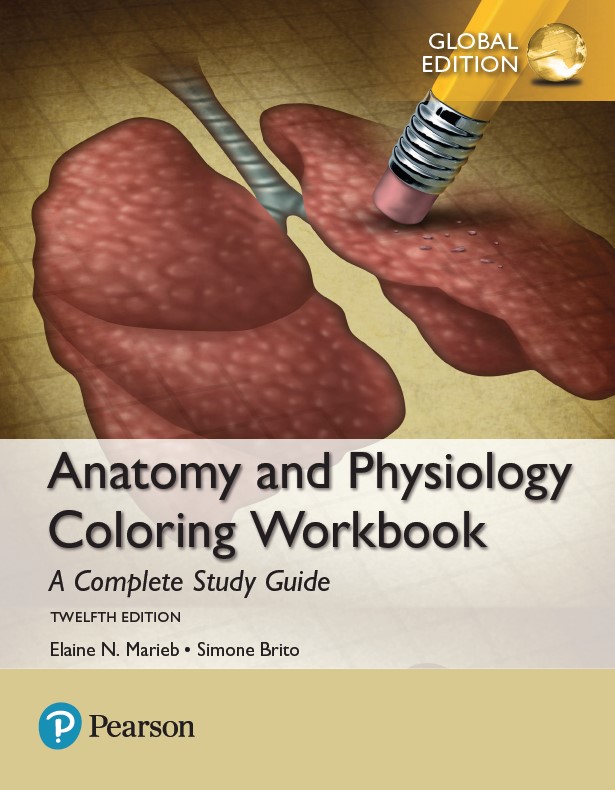 Book cover: Anatomy & physiology coloring workbook : a complete study guide