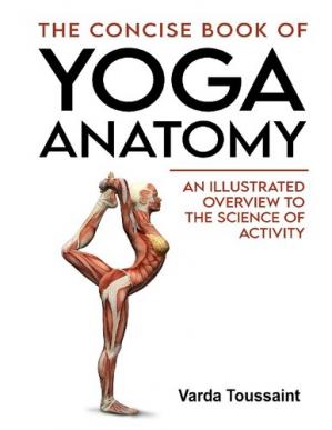 Book cover: The Concise book of yoga anatomy : an illustrated overview to the science of activity