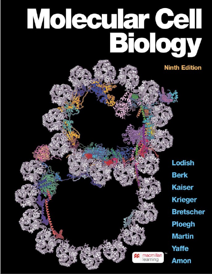 Book cover: Molecular cell biology