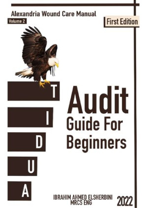 Book cover: Audit guide for beginners