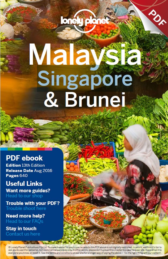Book cover: Lonely planet Malaysia, Singapore & Brunei